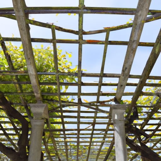 Comment choisir le bon style de pergola pour votre jardin?