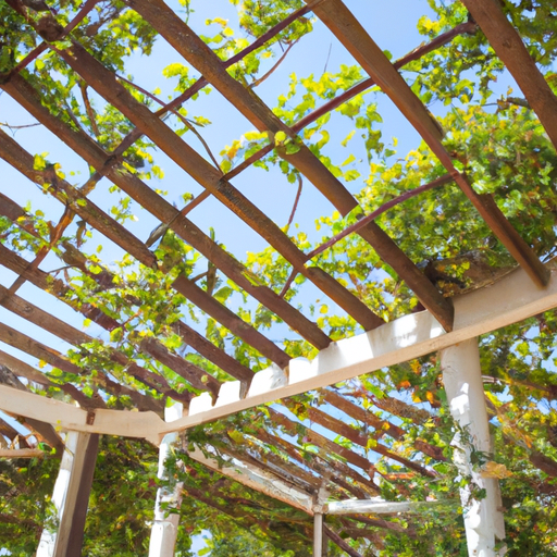 Concevoir une pergola pour votre patio ou votre jardin