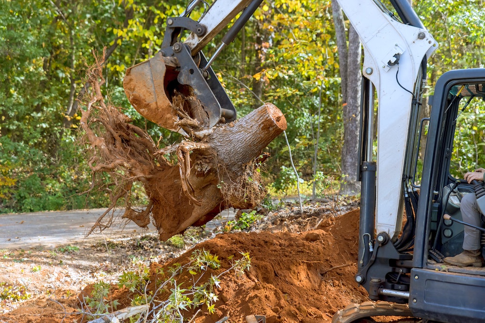 Gestion efficace des eaux pluviales sur un terrain viabilisé constructible : enjeux et solutions