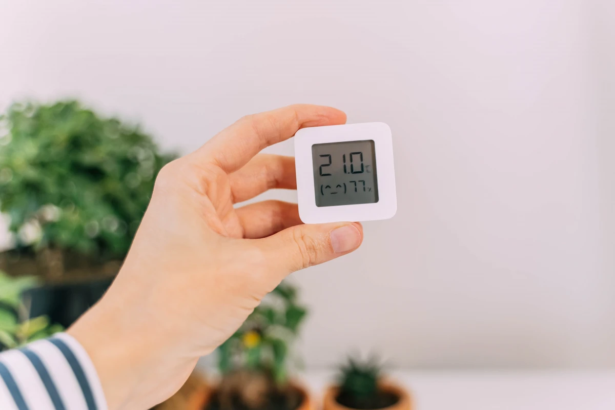 Humidité dans le logement : causes et traitements à connaître