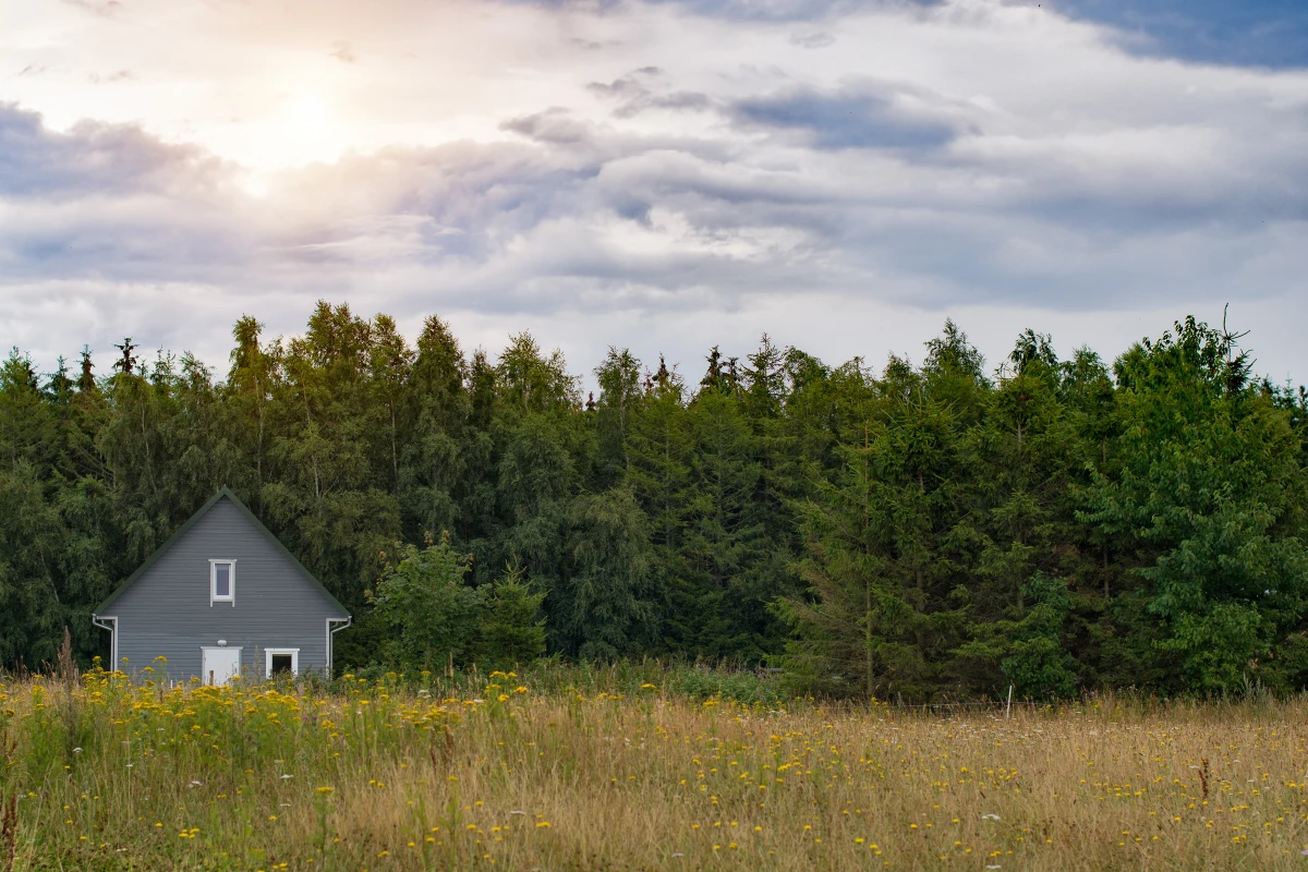 Sélectionner le Meilleur Matériau pour Votre Cache-Moineau : Guide Expert en Immobilier